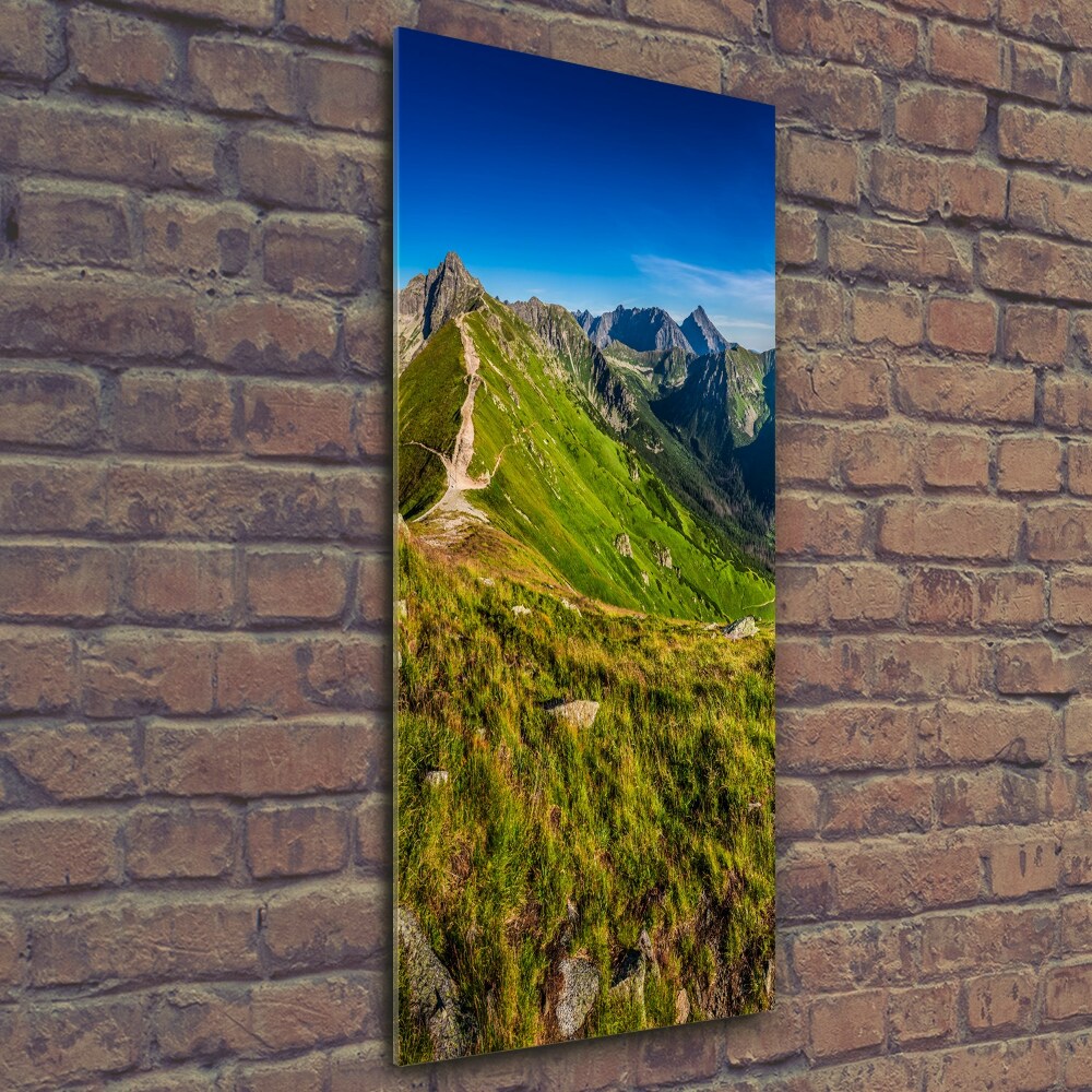 Vertikálny foto obraz sklenený Tatry