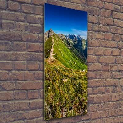 Vertikálny foto obraz sklenený Tatry