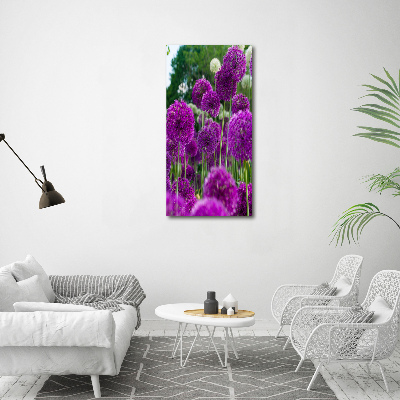 Vertikálny foto obraz fotografie na skle Kvety cesnaku