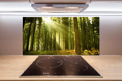 Dekoračný panel sklo Sosnová les