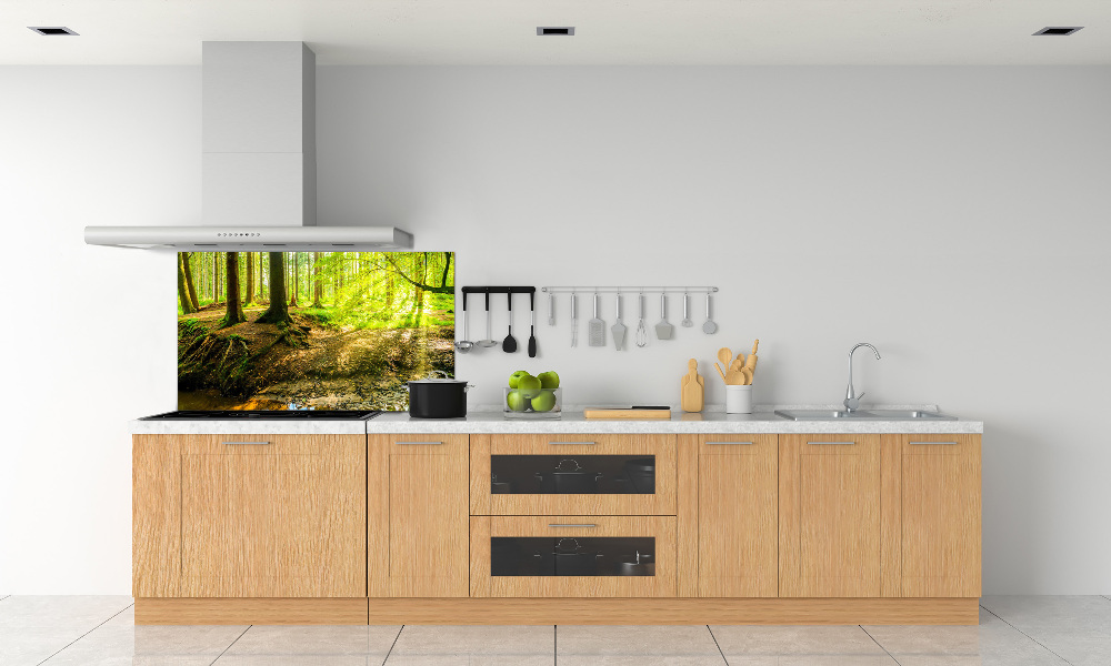 Panel do kuchyne Slnečné lúče les