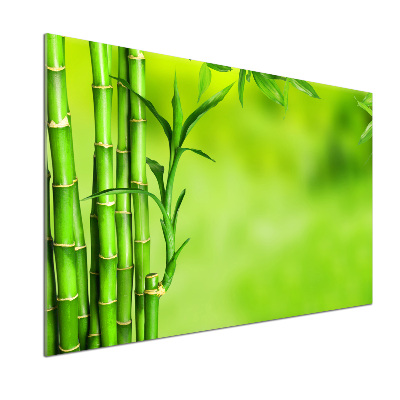 Sklenený panel do kuchyne Bambus
