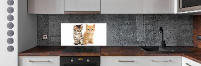 Panel do kuchyne Hnedá a červená mačka