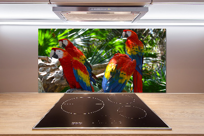 Dekoračný panel sklo Papagáje Ara