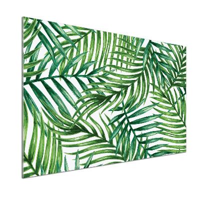 Dekoračný panel sklo Lístie palmy