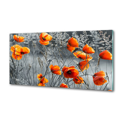Dekoračný panel sklo Poľný mak