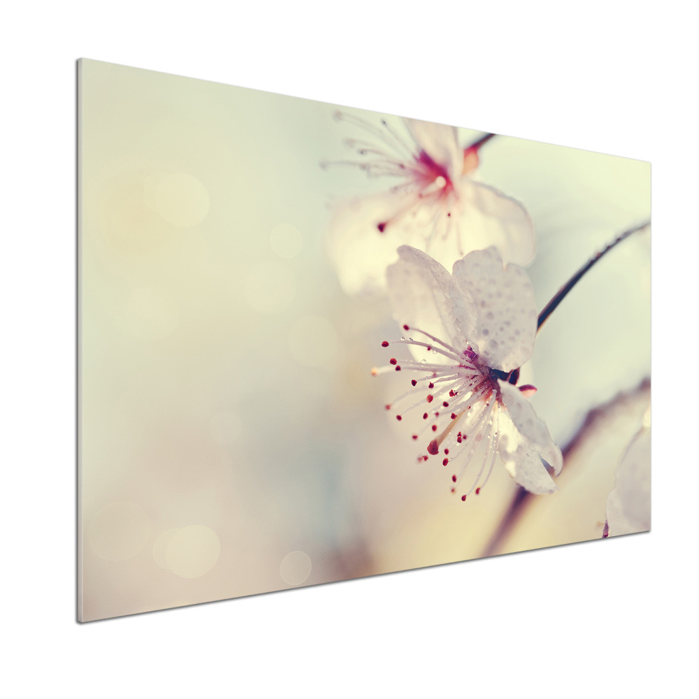 Dekoračný panel sklo Kvet višne