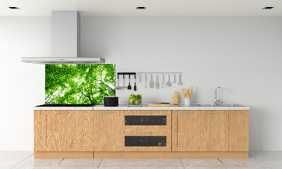 Dekoračný panel sklo Zelený les