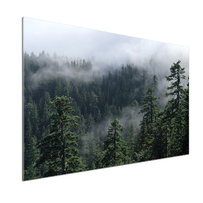 Dekoračný panel sklo Lesná hmla