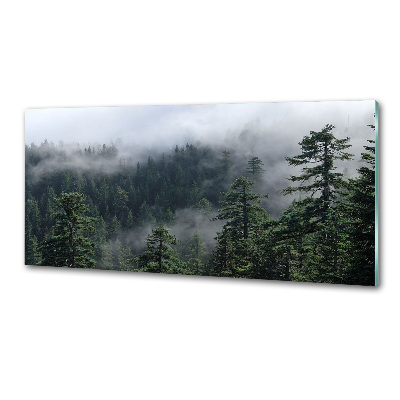 Dekoračný panel sklo Lesná hmla