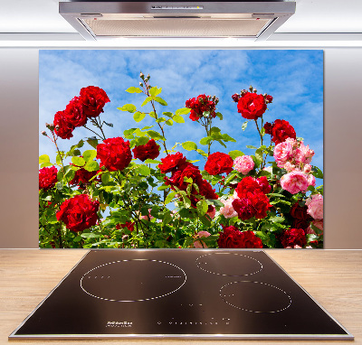 Dekoračný panel sklo Divoké ruže