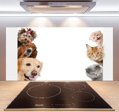 Dekoračný panel sklo Psy a mačky
