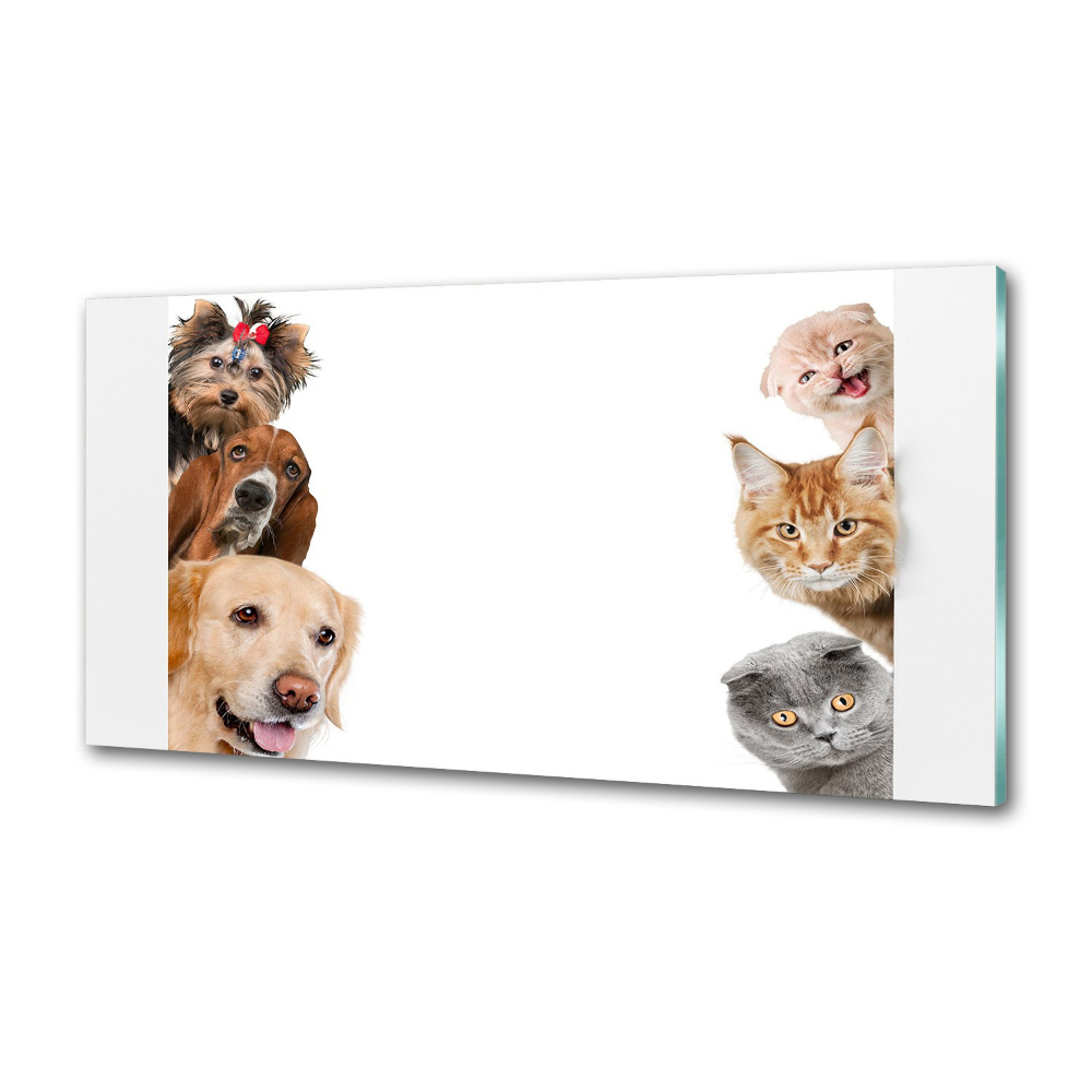 Dekoračný panel sklo Psy a mačky