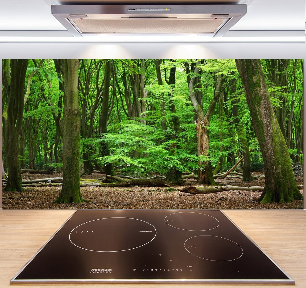 Panel do kuchyne Holandský les