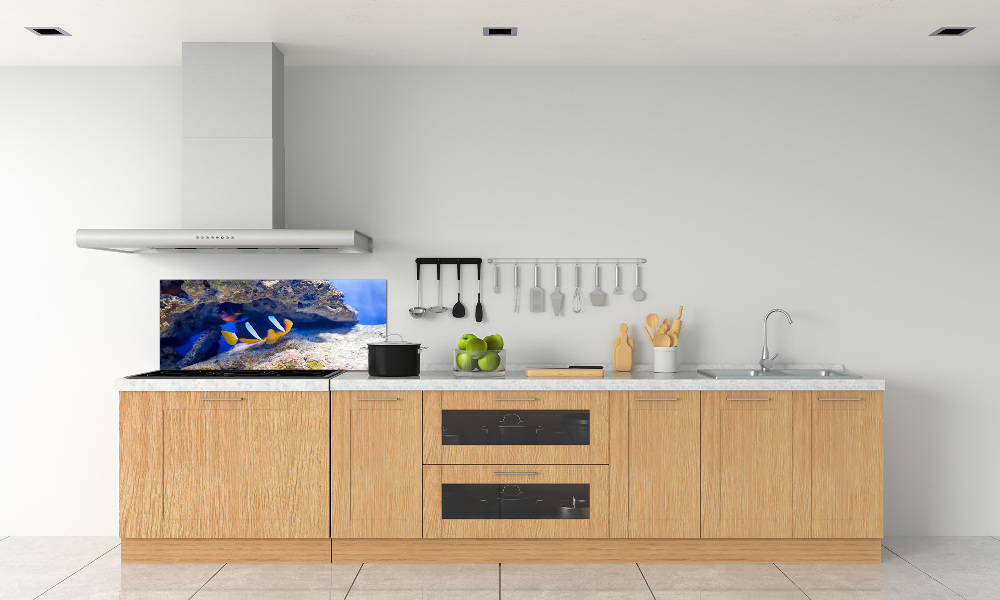 Panel do kuchyne Tropická ryba