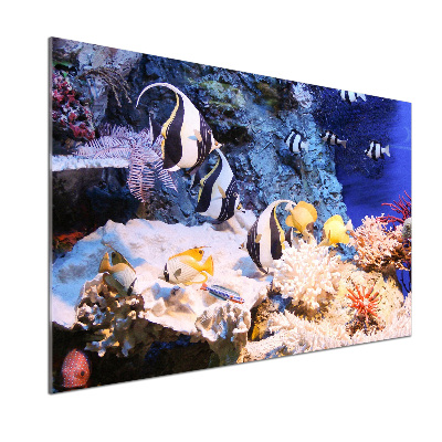 Dekoračný panel Koralový útes