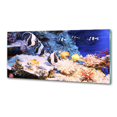 Dekoračný panel Koralový útes
