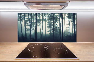 Dekoračný panel sklo Les v hmle