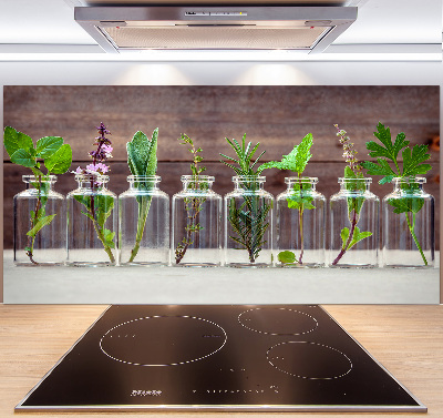 Panel do kuchyne Rastliny v pohároch