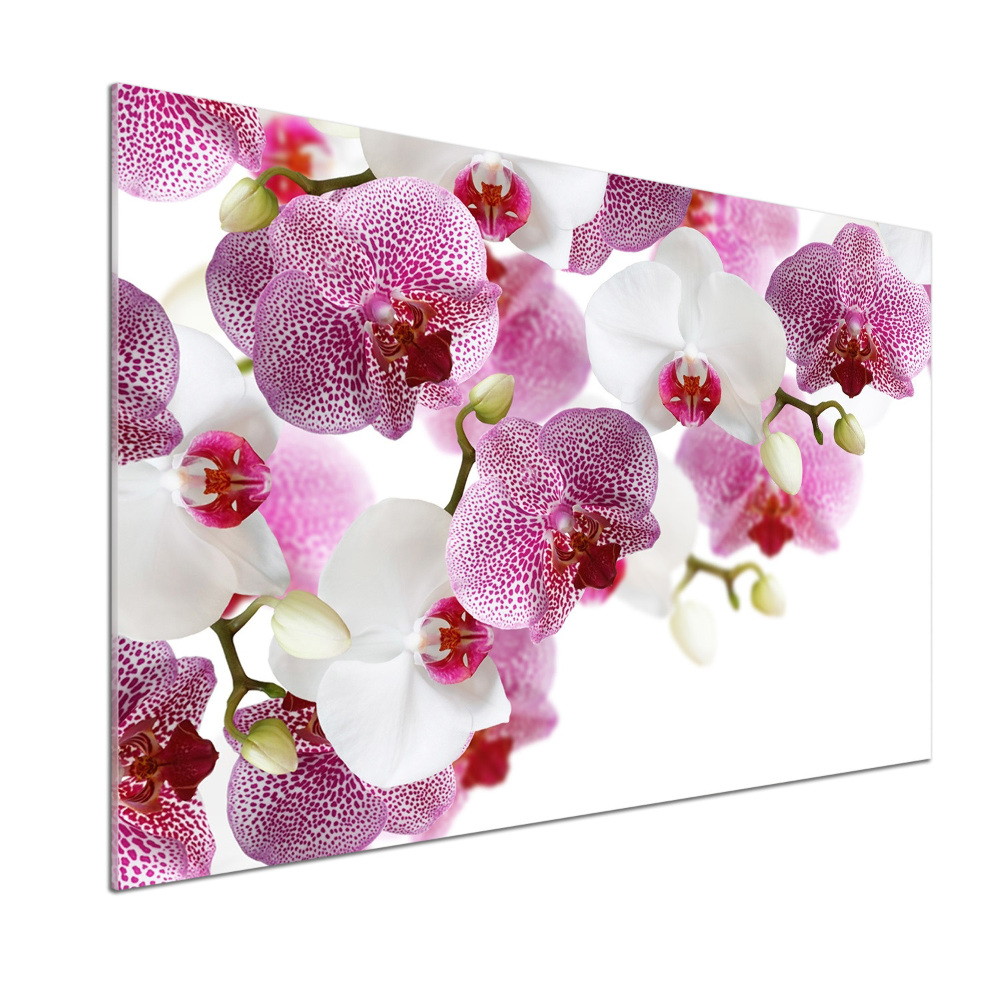 Sklenený panel do kuchynskej linky Orchidea