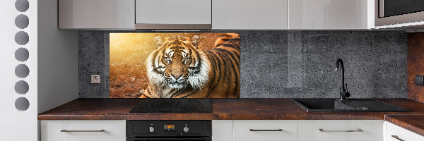 Panel do kuchyne Bengálsky tiger
