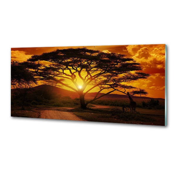 Panel do kuchyne Západ Afrika