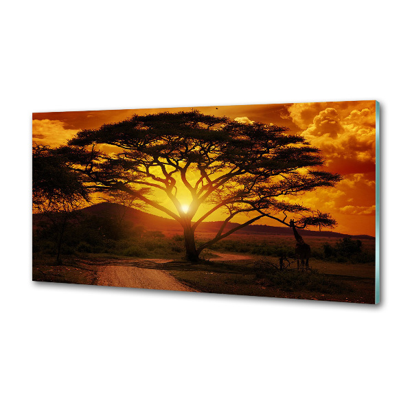 Panel do kuchyne Západ Afrika