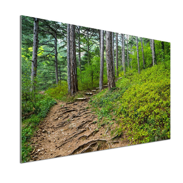 Panel do kuchyne Lesný chodník
