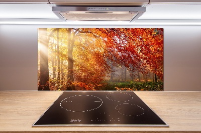 Dekoračný panel sklo Jesenný les