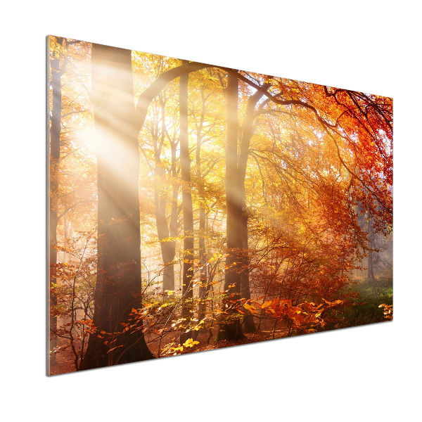 Dekoračný panel sklo Jesenný les