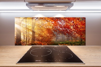 Dekoračný panel sklo Jesenný les