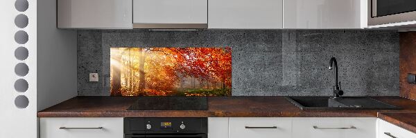 Dekoračný panel sklo Jesenný les
