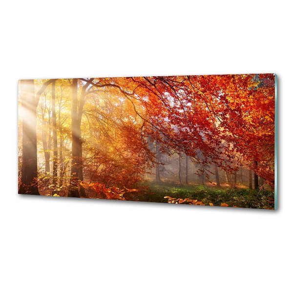 Dekoračný panel sklo Jesenný les