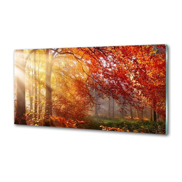 Dekoračný panel sklo Jesenný les