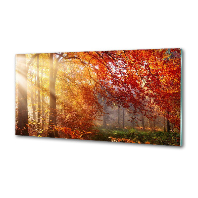 Dekoračný panel sklo Jesenný les