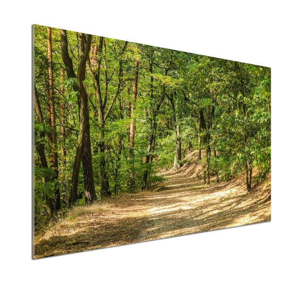 Panel do kuchyne Lesný chodník