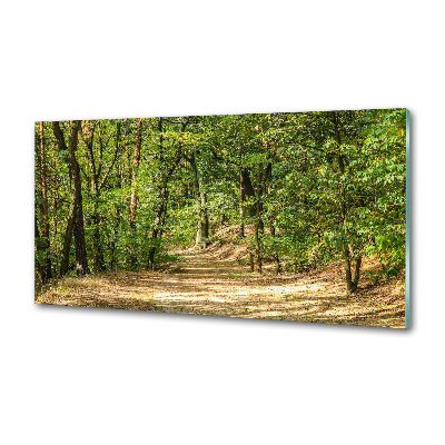 Panel do kuchyne Lesný chodník