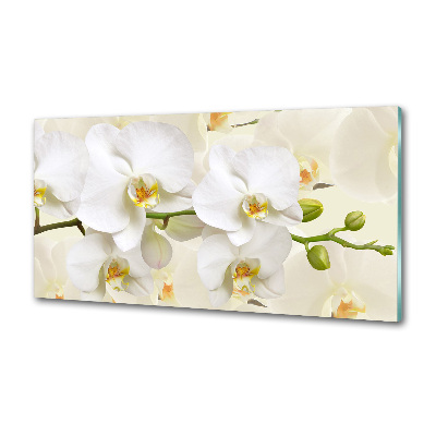 Sklenený panel do kuchynskej linky Orchidea