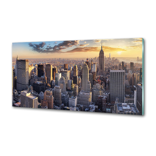 Panel lacobel New York vtáčie pohľad