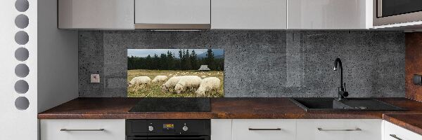 Panel do kuchyne Pasic sa ovce