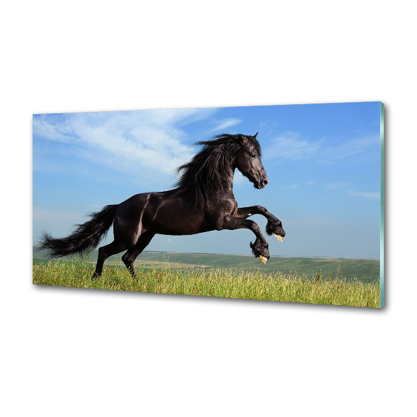 Panel do kuchyne Čierny kôň na lúke