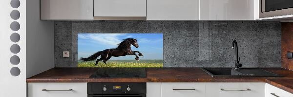 Panel do kuchyne Čierny kôň na lúke