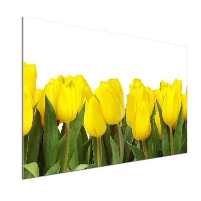 Panel do kuchyne Žlté tulipány