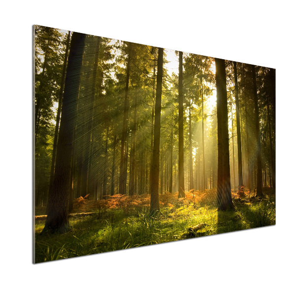 Dekoračný panel sklo Les slnko