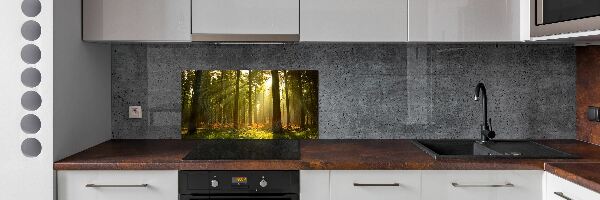 Dekoračný panel sklo Les slnko