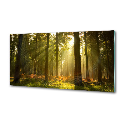 Dekoračný panel sklo Les slnko