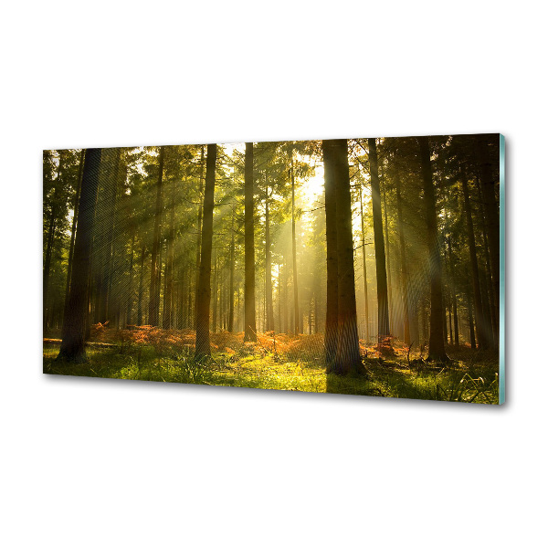Dekoračný panel sklo Les slnko