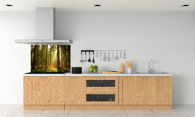 Dekoračný panel sklo Les slnko