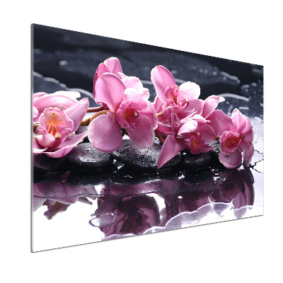 Panel do kuchyne Ružová orchidea