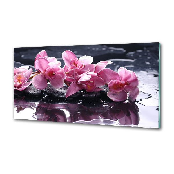 Panel do kuchyne Ružová orchidea
